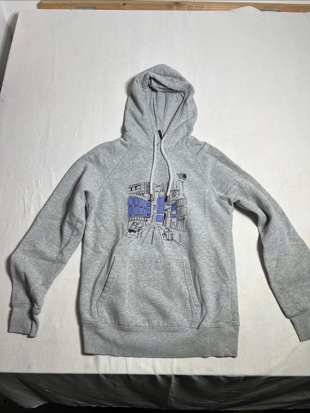 The North Face Light Gray Pullover Hoodie with Blue Graphic